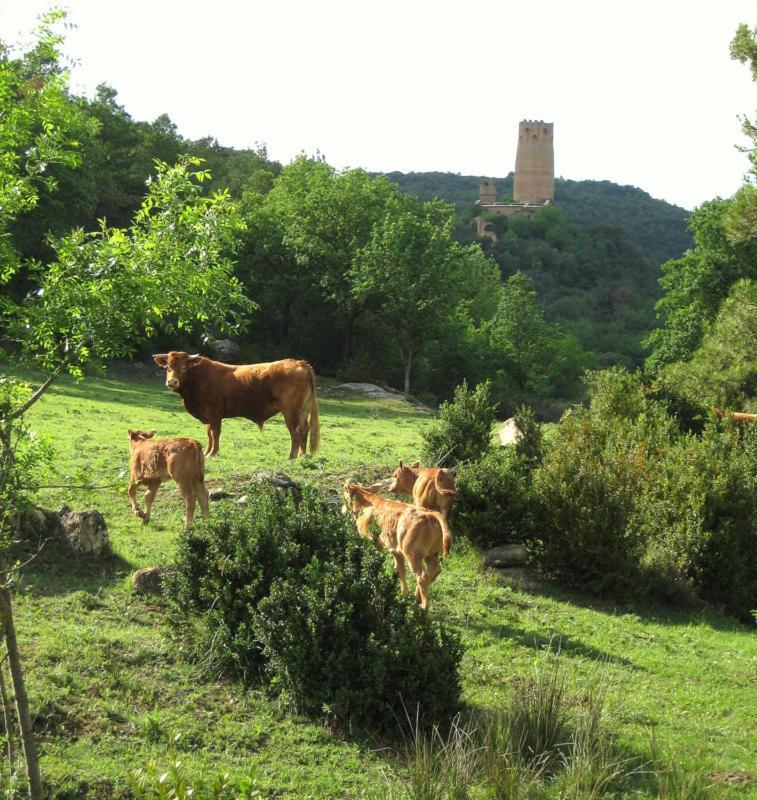 Hotel Rural Jaumet Tora de Riubregos Kültér fotó